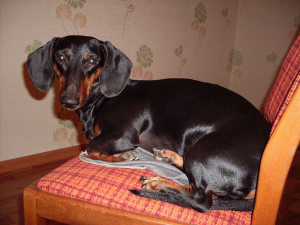 Григорий Батманников