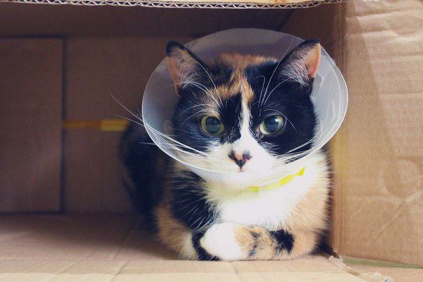 Сашуля Бондаренко