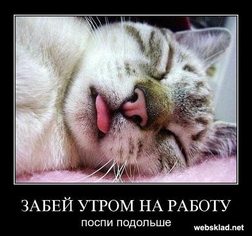 Владимир Котов