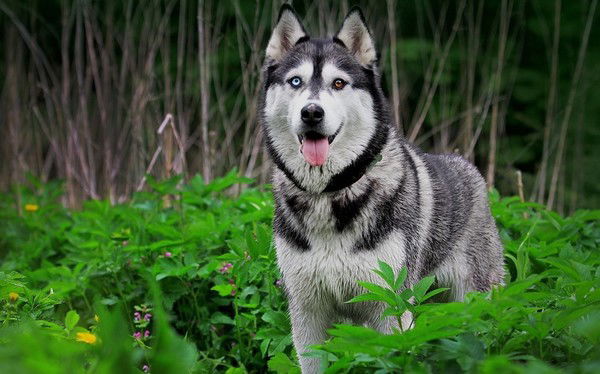 Татьяна Просто Толяновна