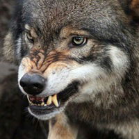 Женя Назаров