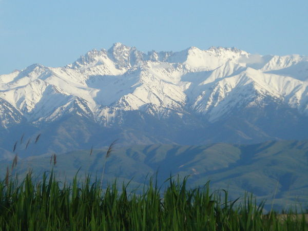 Светлана Кучмай