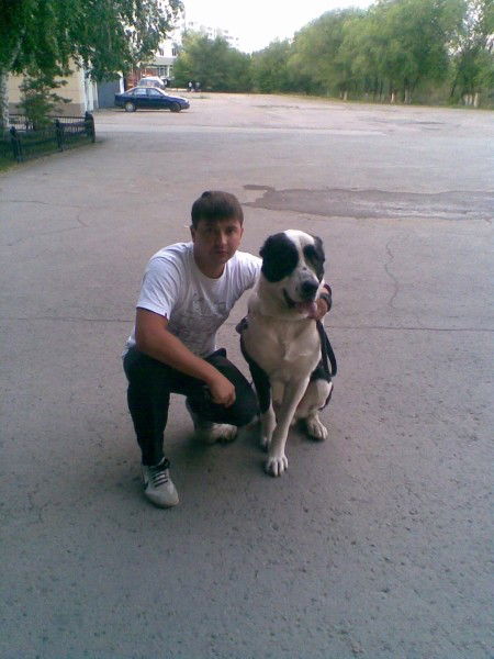 Сергей Мегин