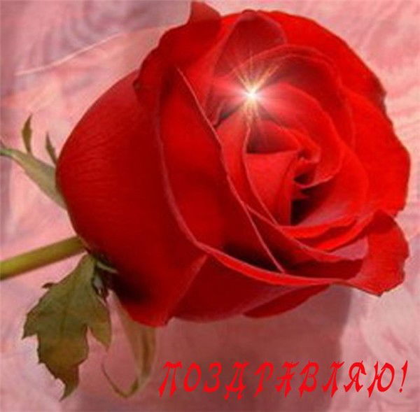 Анастасия Франк