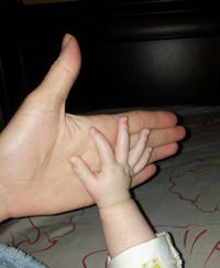 Елена Свириденко