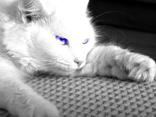 Марина Дерябина