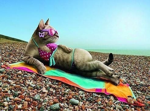 Альбина Закирова