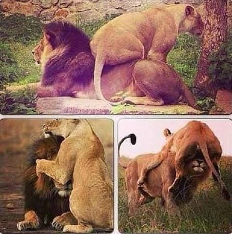 Юлия Суржева