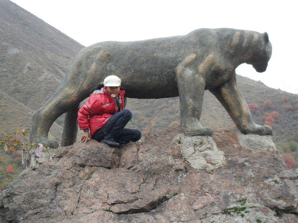 Айжан Терликбаева