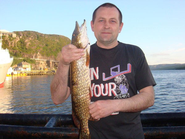 Александр Паршиков