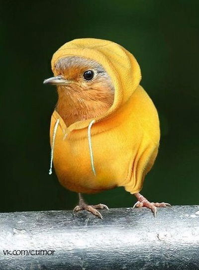 Станислав Соловьев