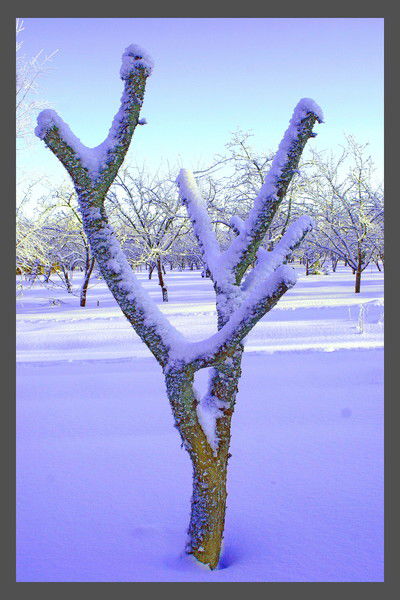 Игорь Хорошилов