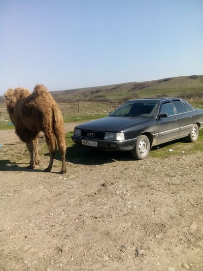 Серёжа Уткин