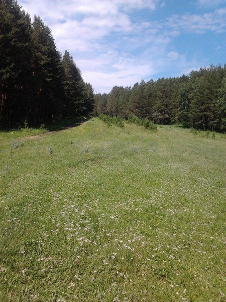 Римма Моторина