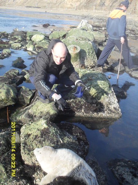 Александр Калита