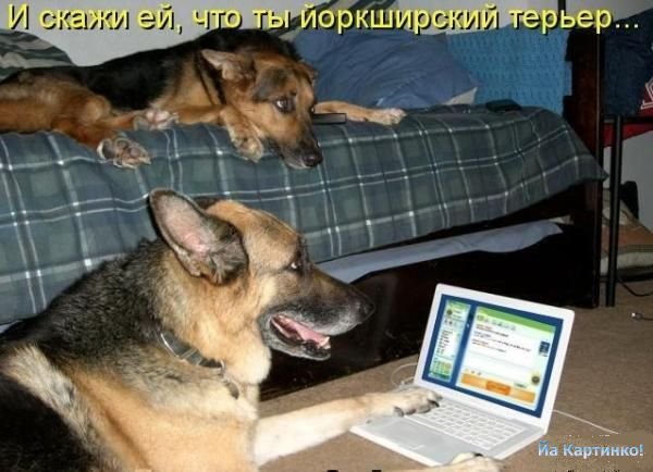 Женя Диесперов