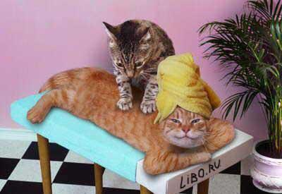 Татьяна Бондаренкошилова