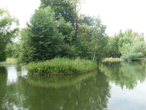 Инна Верова