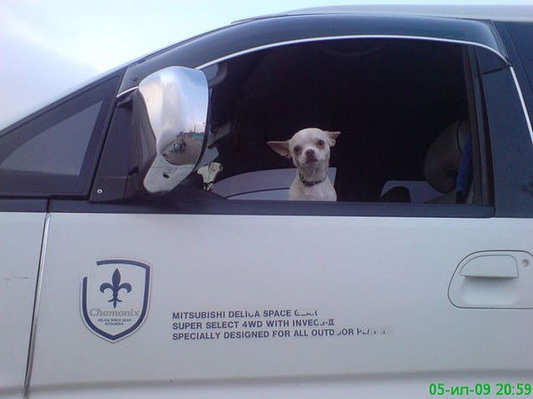 Марина Сервис Флот