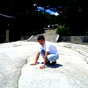 Pro_100 _Lim