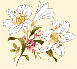 Нина Сафонова