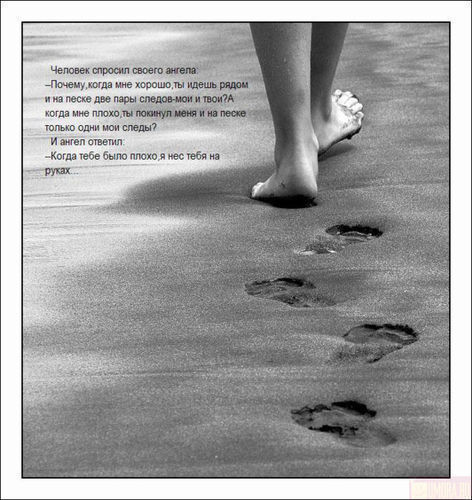 Ольга Федотова