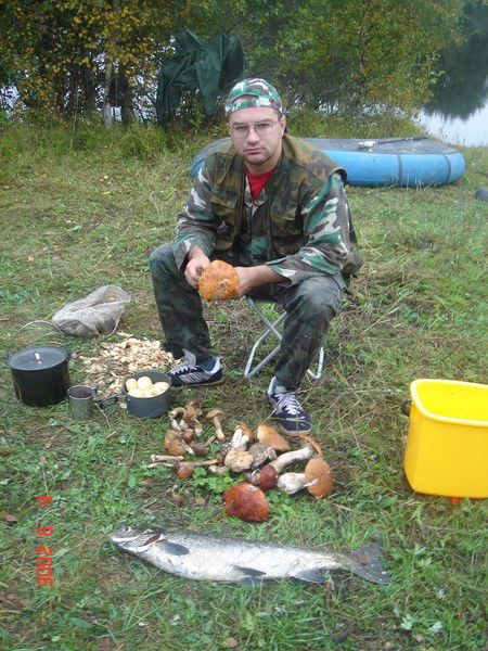 Алексей Ажаев