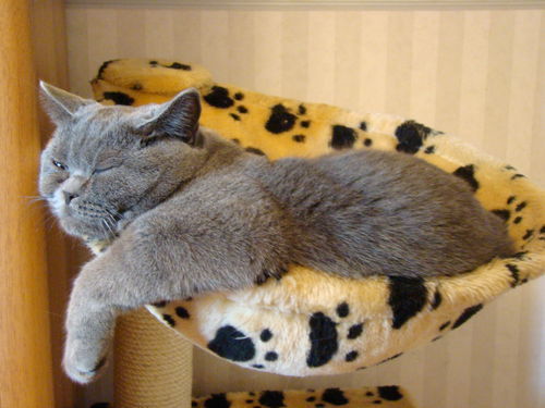 Игорь Марченко