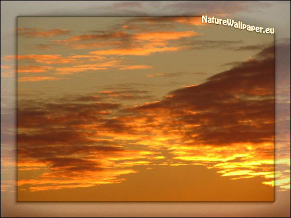 Оксана Михайлюк