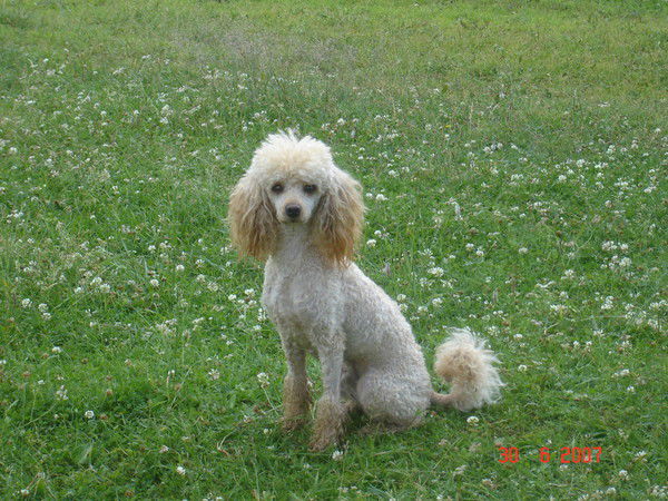 Татьяна Самолдина