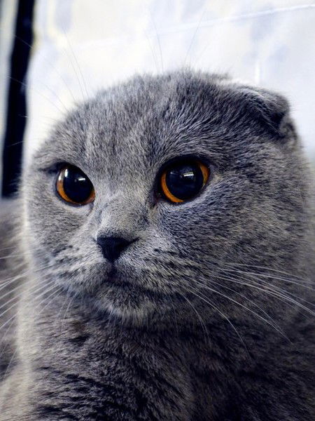 Наталья Ремнева