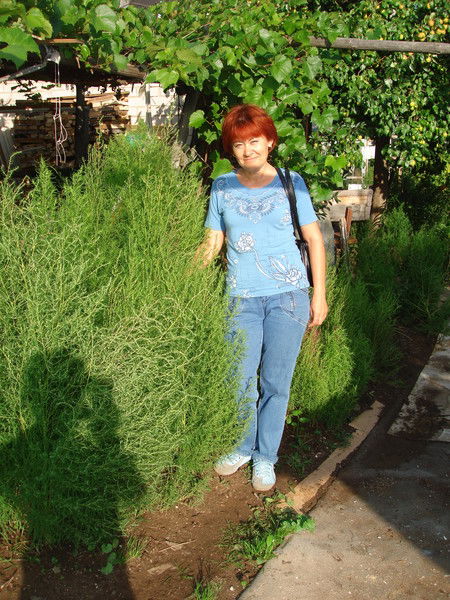 Наташа Зиновьева