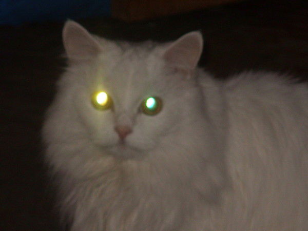 Людмила Жукова