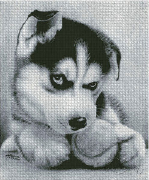 Натик Данильченко