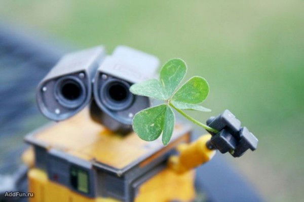 Мария Ревенко