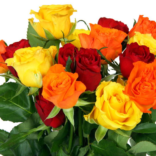 Роза Файзулина