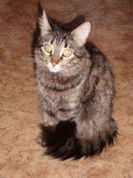 Юлия Красоткина