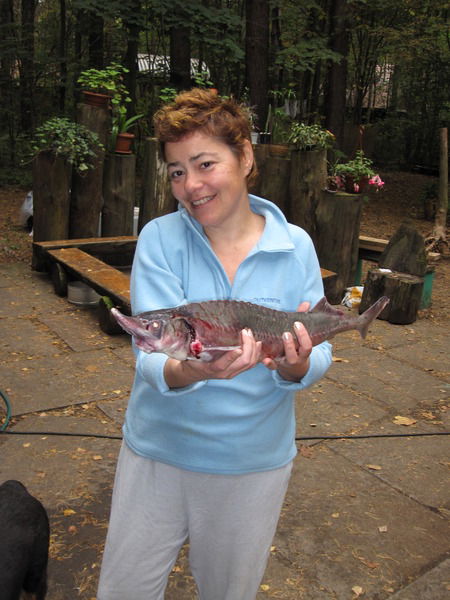 Лидия Замолодчикова