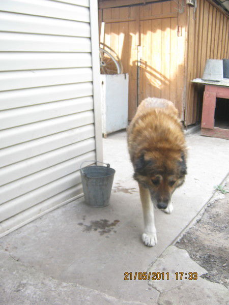 Костя Мазур