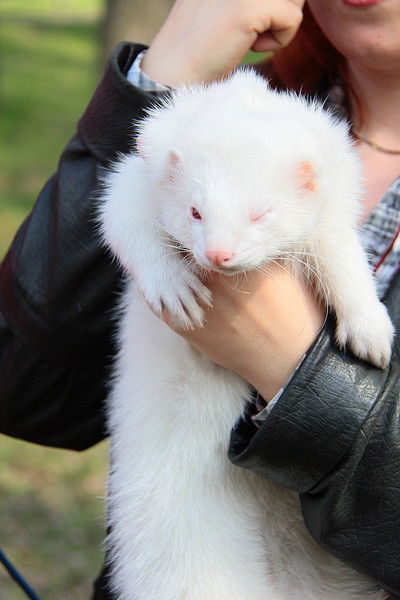 Золотарева Марианна