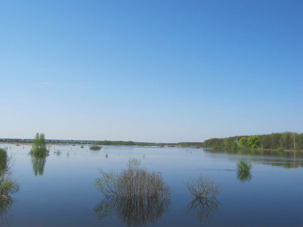 Наталья Капишникова