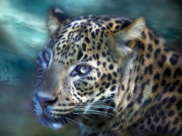 Зимина Юлия