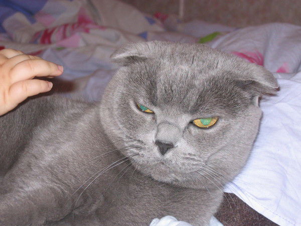 Вера Ерохина