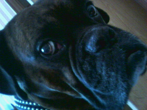 Дмитрий Кузнецов