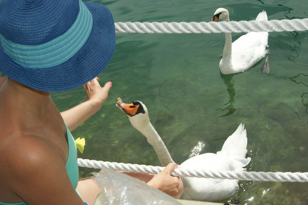 Екатерина Кучун