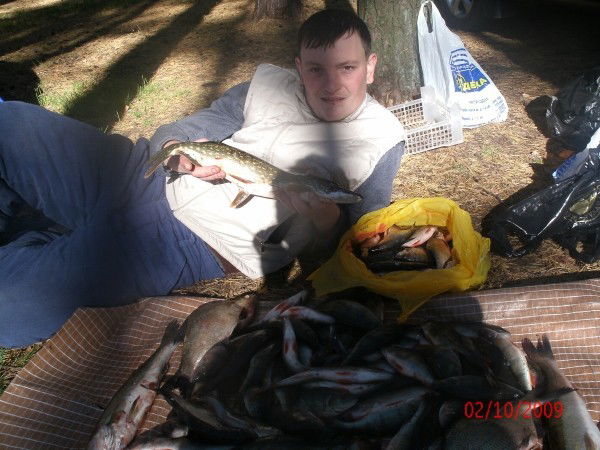 Сергей Дворников