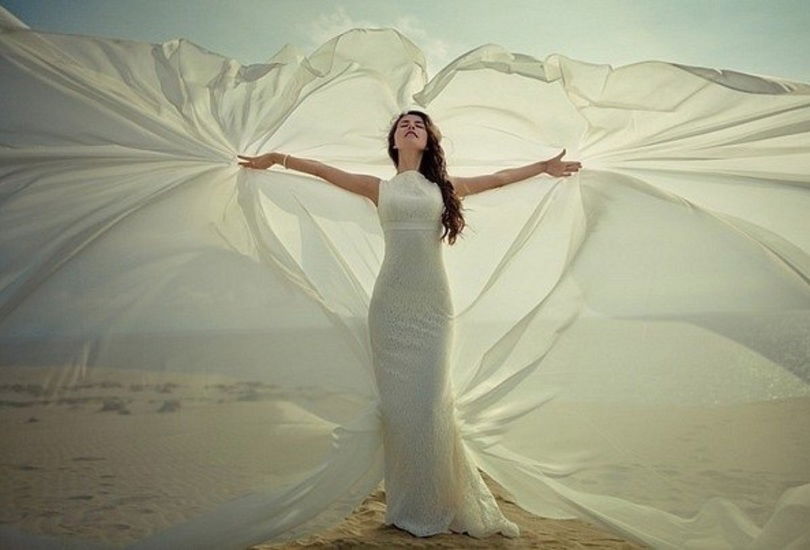 Чайка Над Волной