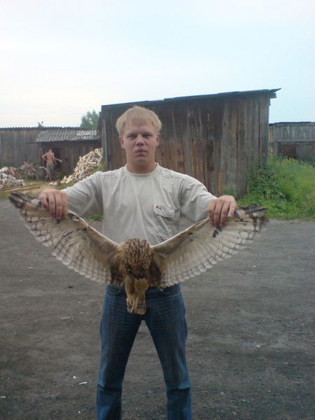 Коля Давыдов