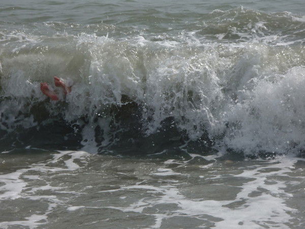 Неизвестно Неизвестно