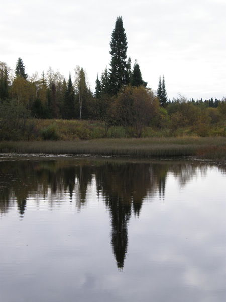 Вячеслав Тиунов